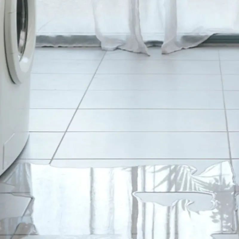 Appliance Leak Cleanup in Bisbee, AZ