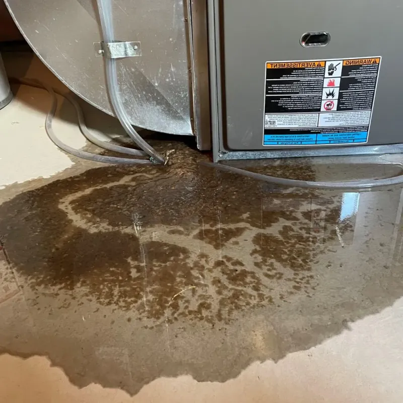 Pipe Burst and Leak Restoration in Bisbee, AZ